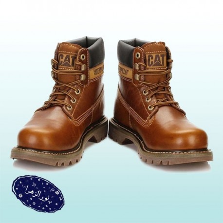 پوتین کاترپیلار البرز