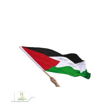 پرچم فلسطین چوب خور