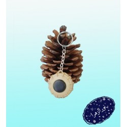 جاکلیدی مین گوجه ای