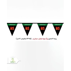 ریسه محرمی 10 متری