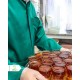 روپوش چایخانه امام رضا