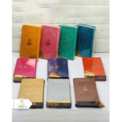 دیوان حافظ پالتویی ترمو رنگی