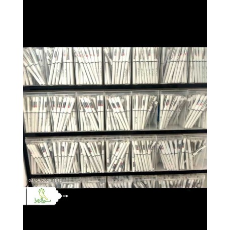 خودکار پرشیا