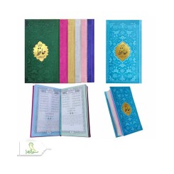 حافظ پالتویی داخل رنگی چرم با پلاک طلایی