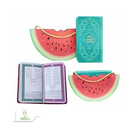 حافظ پالتویی چرم با ساک طرح هندوانه