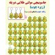 جاسوییچی مولتی طلایی دوپله