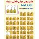 جاسوییچی مولتی طلایی دوپله