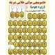 جاسوییچی مولتی طلایی دوپله