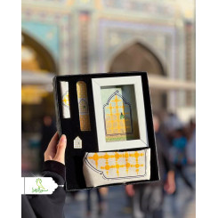 پک دخیل امام رضا(ع)